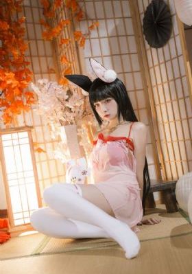 汪汪队立大功十季免费版