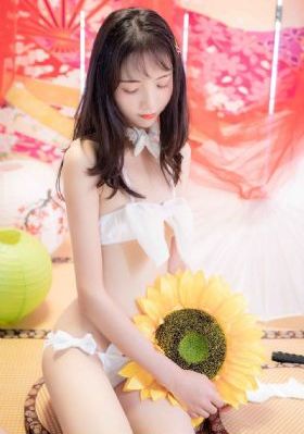 三妻四妾高清免费观看全集